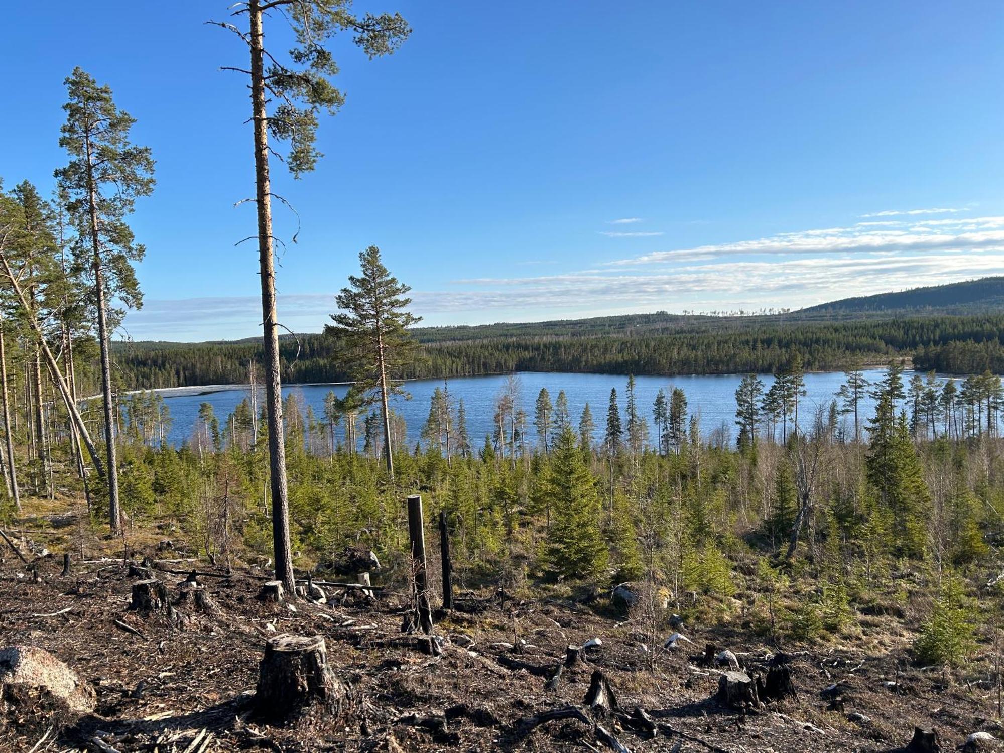 Willa Hus I Ljuset Näsåker Zewnętrze zdjęcie